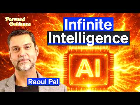 AI Will Drive The Biggest Boom In History | Raoul Pal